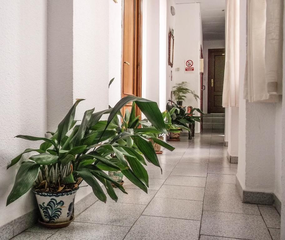 Pension Ciudad Navarro Ramos Granada Luaran gambar